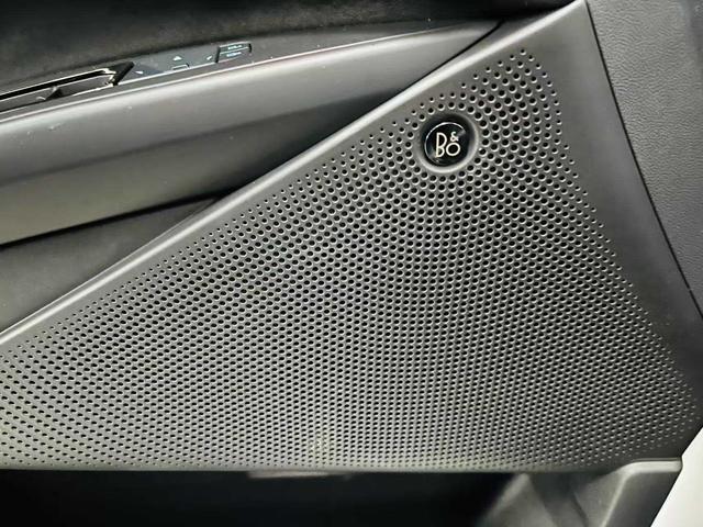 Ford Mondeo 2022, фото 15
