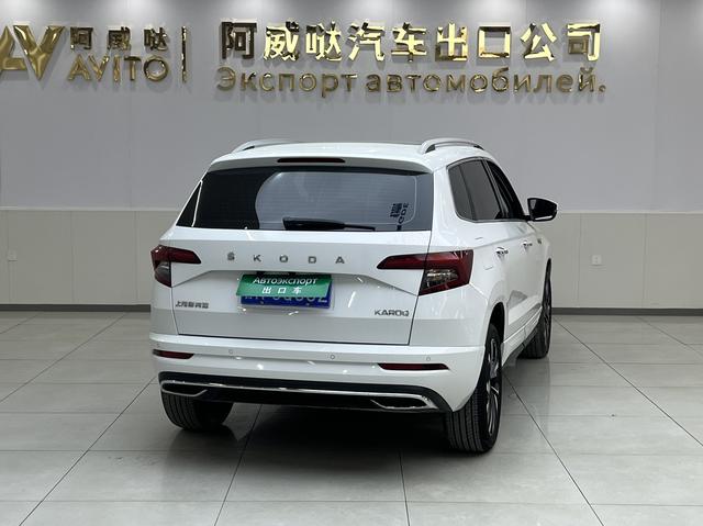 Skoda Karoq 2023, фото 4