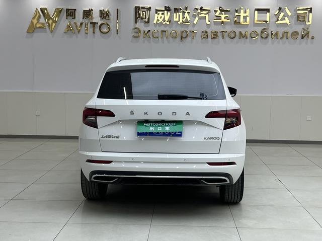 Skoda Karoq 2023, фото 5