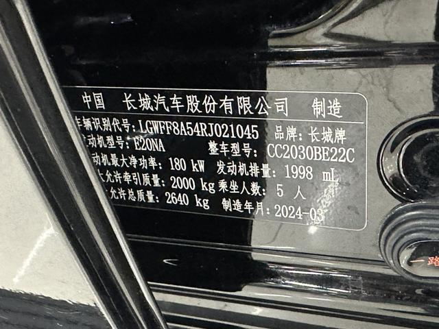 Tank 300 2024, фото 16