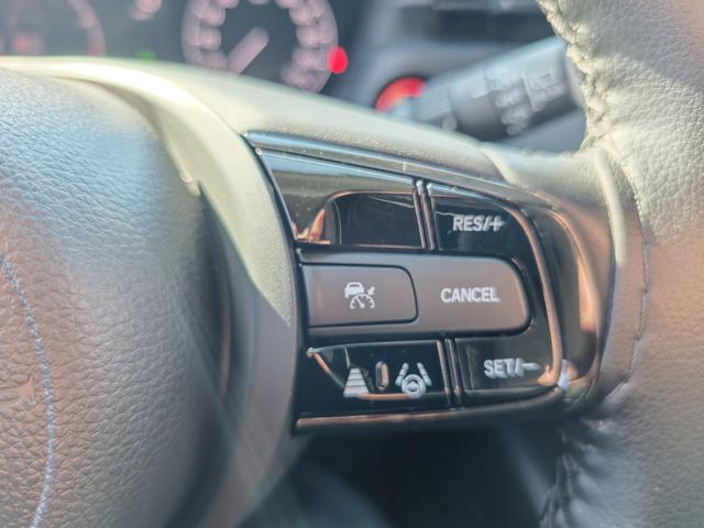 Honda XR-V 2024, фото 17