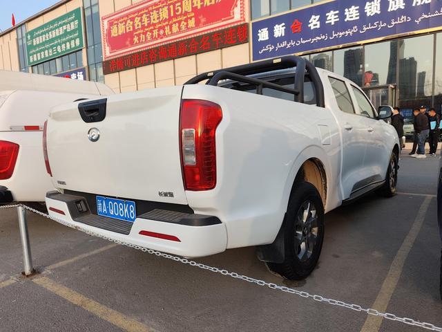 Great Wall Pao 2021, фото 9