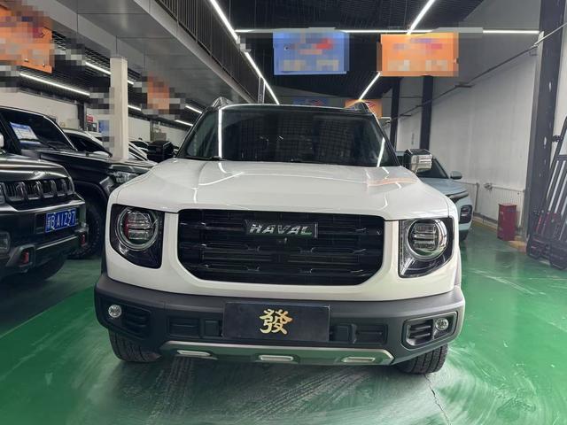 Haval Dargo 2021, фото 3
