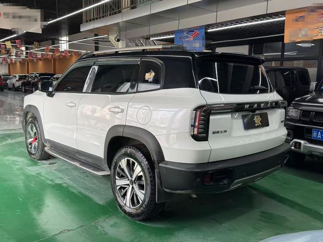 Haval Dargo 2021, фото 4