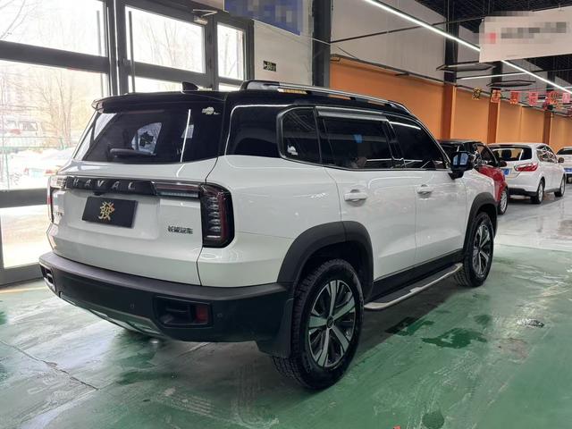 Haval Dargo 2021, фото 5