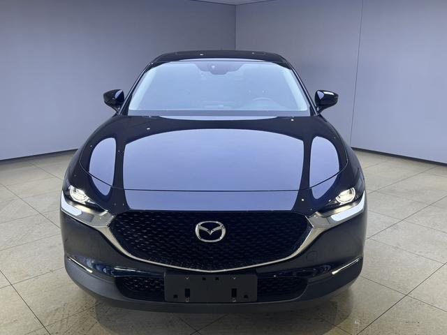 Mazda CX-30 2021, фото 2