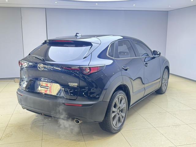 Mazda CX-30 2021, фото 6
