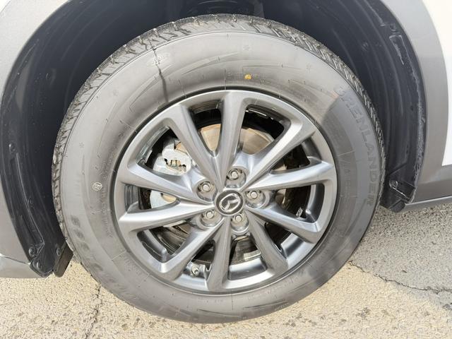 Mazda CX-4 2021, фото 17