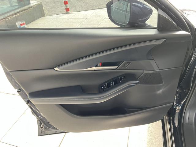 Mazda CX-30 2021, фото 17