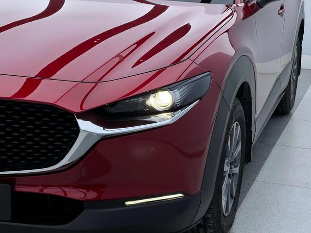 Mazda CX-30 2021, фото 5