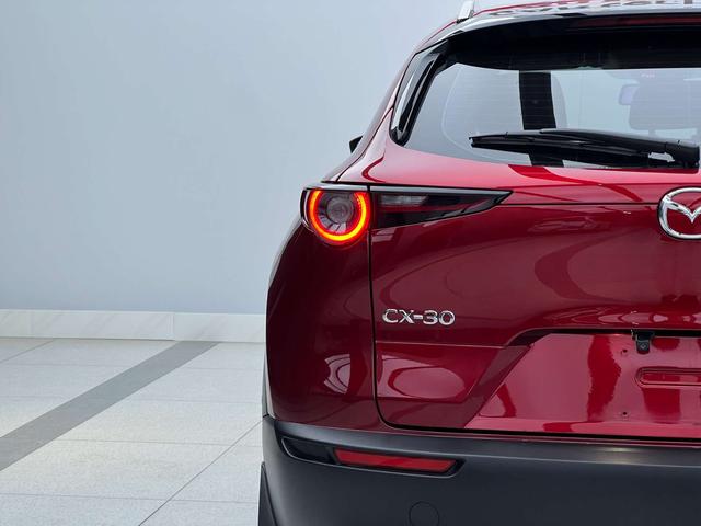 Mazda CX-30 2021, фото 8