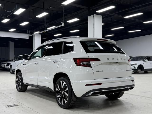 Skoda Karoq 2022, фото 4