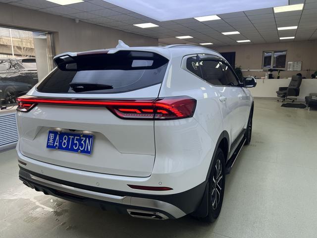 Haval H6 2023, фото 6