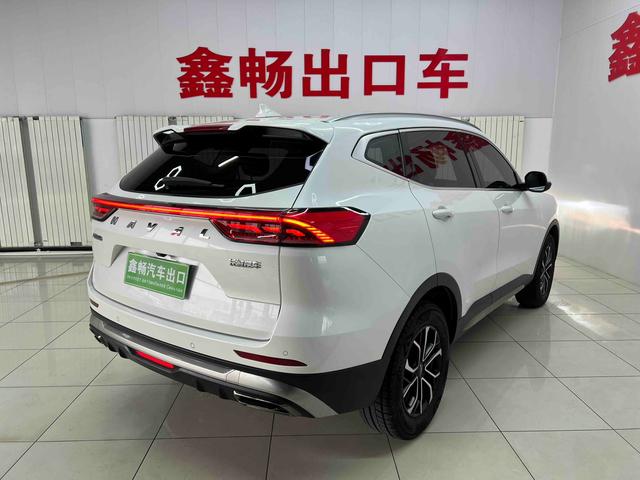 Haval H6 2021, фото 4