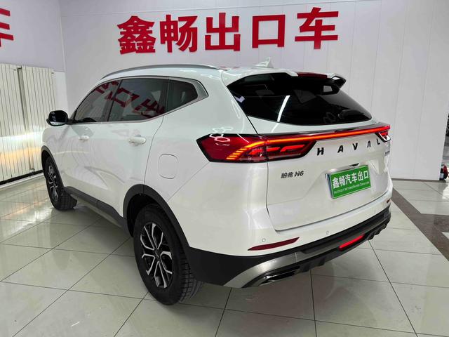Haval H6 2021, фото 6