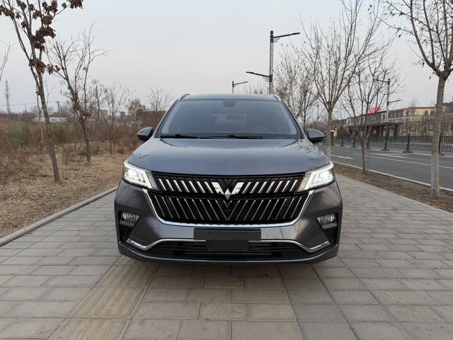 Wuling Jiachen 2022, фото 2