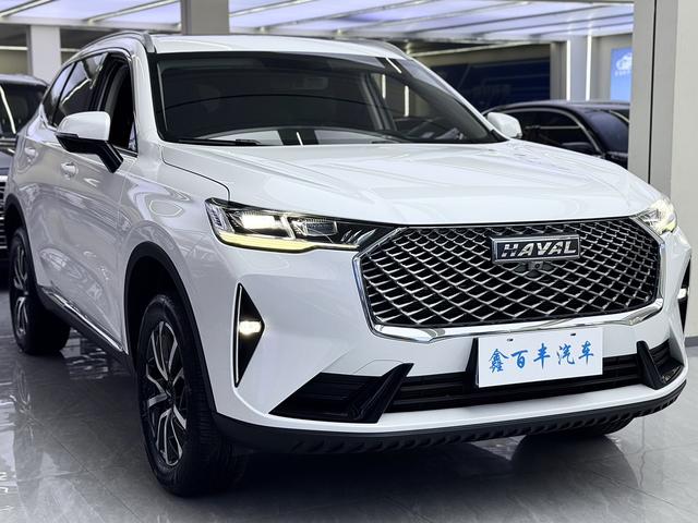 Haval H6 2022, фото 3