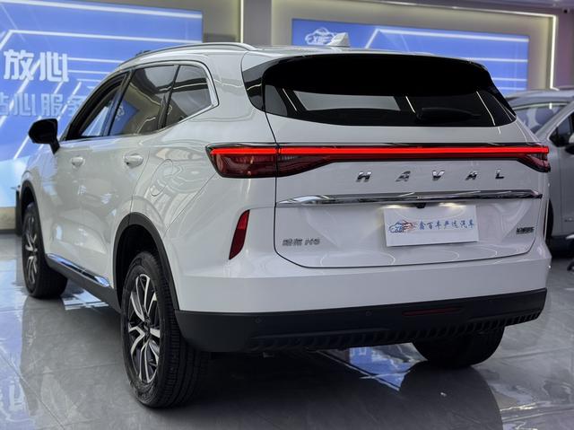 Haval H6 2022, фото 8