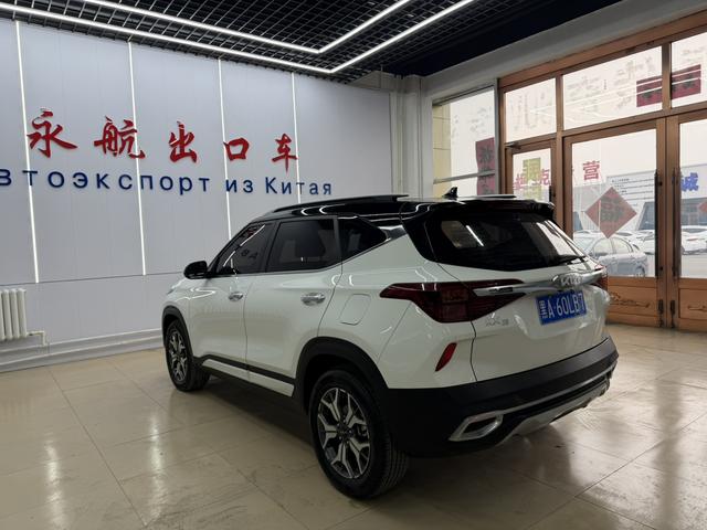 Kia Seltos 2021, фото 15