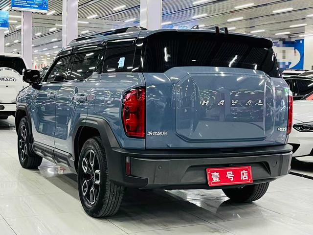 Haval Cool Dog 2022, фото 4