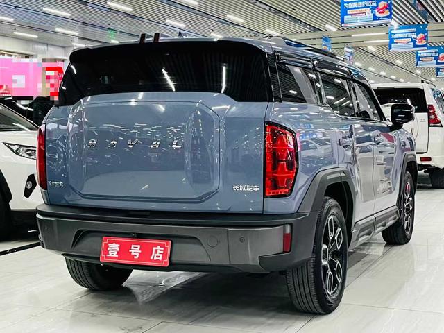 Haval Cool Dog 2022, фото 5
