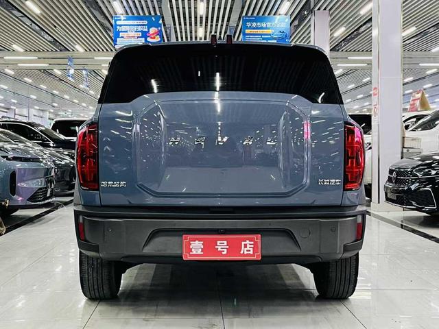 Haval Cool Dog 2022, фото 6