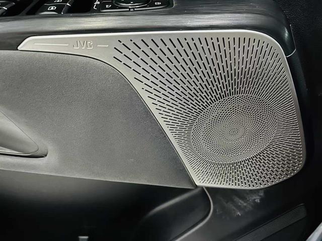 Haval Cool Dog 2022, фото 9