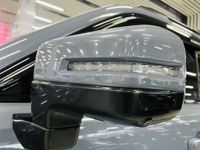 Haval Cool Dog 2022, фото 10