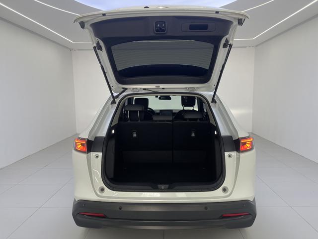 Honda XR-V 2023, фото 14