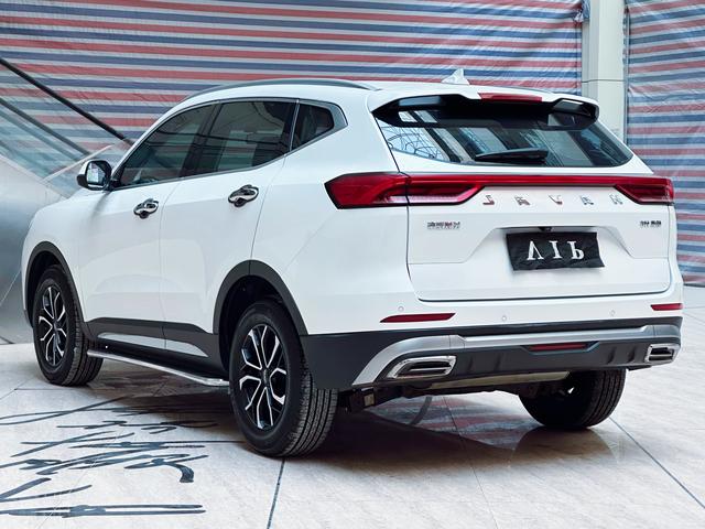 Haval H6 2021, фото 6