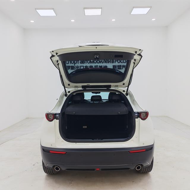 Mazda CX-30 2021, фото 14