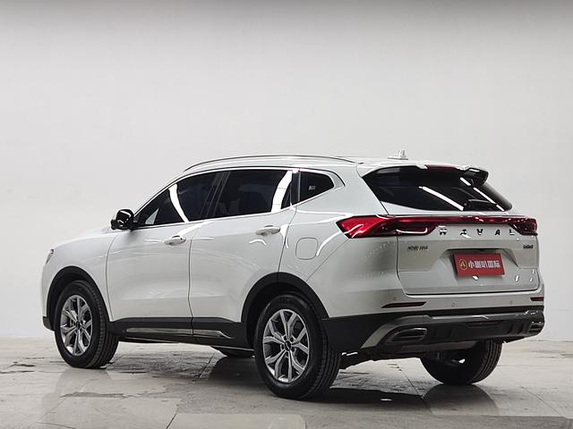 Haval H6 2021, фото 4