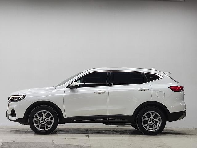 Haval H6 2021, фото 5