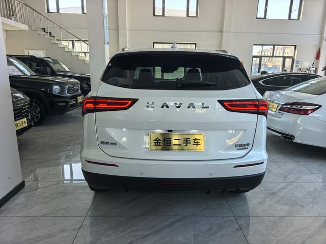 Haval H6 2024, фото 4