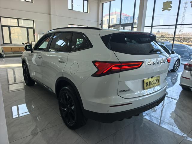 Haval H6 2024, фото 5