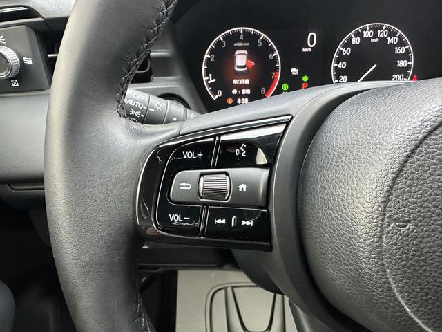 Honda XR-V 2023, фото 17