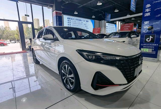 Changan Yidong 2024, фото 3