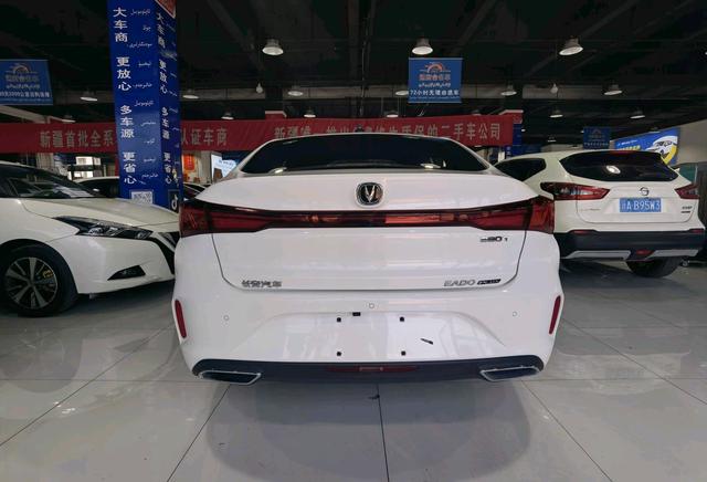 Changan Yidong 2024, фото 9
