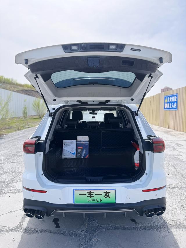 Chery Tiggo 8 2021, фото 14