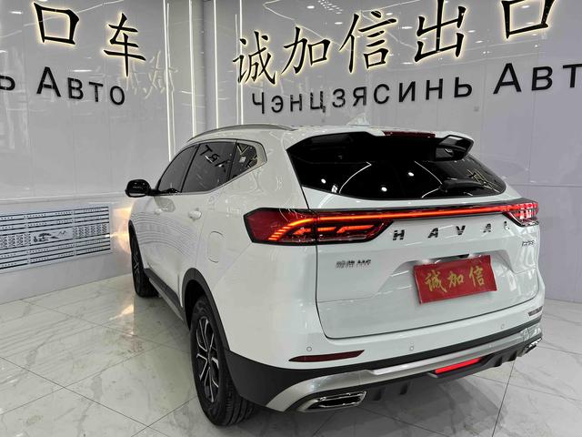 Haval H6 2023, фото 6