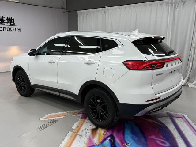Haval H6 2021, фото 4