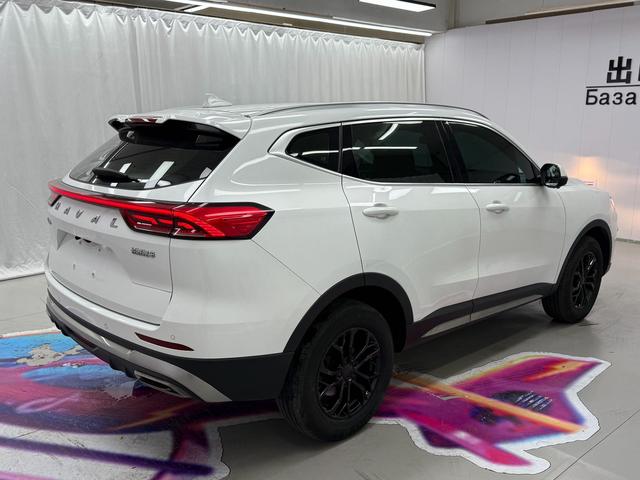 Haval H6 2021, фото 6