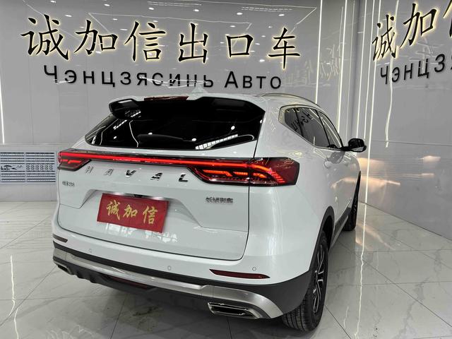 Haval H6 2021, фото 4