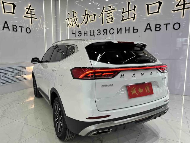 Haval H6 2021, фото 6
