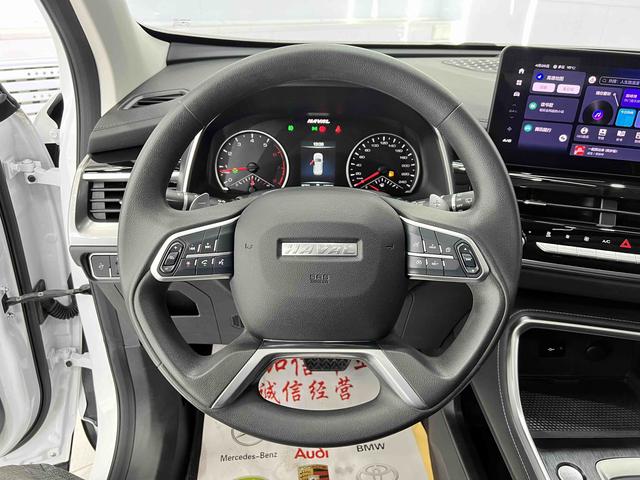 Haval H6 2021, фото 10