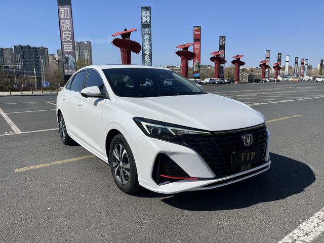Changan Yidong 2022, фото 3