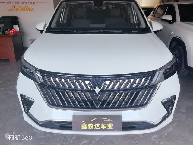 Wuling Jiachen 2022, фото 2