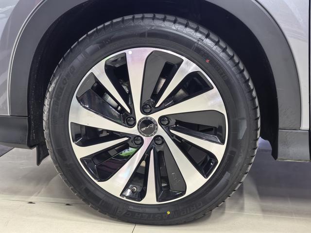 BYD Song PLUS DM 2024, фото 9