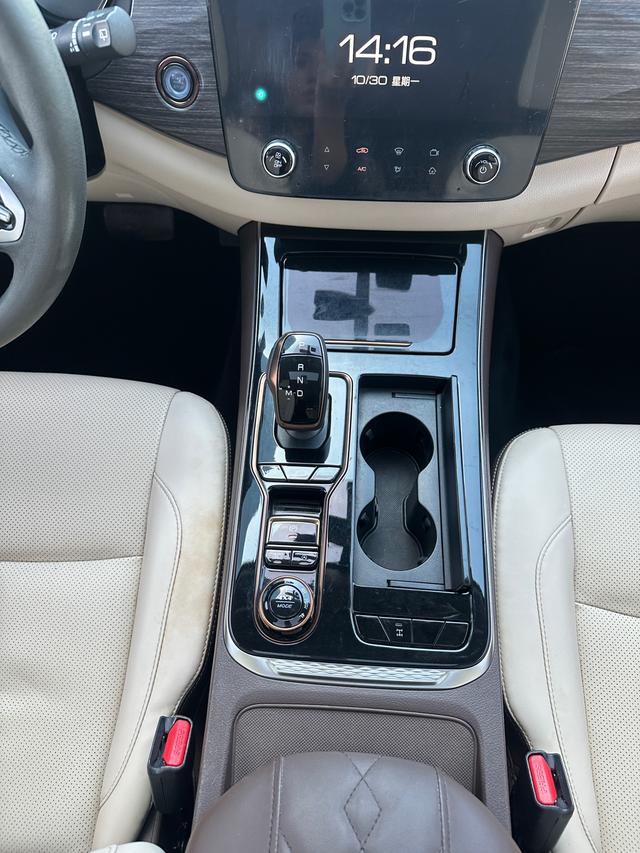 Dongfeng Palanin 2024, фото 8