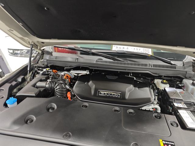 Tank 500 Hi4-T 2024, фото 16